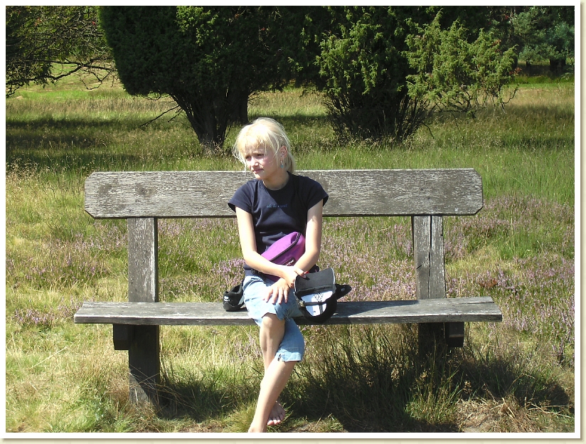 Lueneburgerheide_2009 (6)